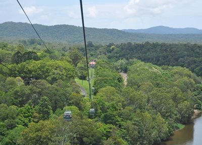 کنز-تله-کابین-جنگل-بارانی-اسکای-ریل-کنز-Skyrail-Rainforest-Cableway-319115