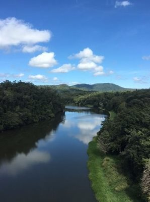 تله  کابین جنگل بارانی اسکای ریل کنز Skyrail Rainforest Cableway