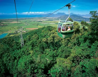 کنز-تله-کابین-جنگل-بارانی-اسکای-ریل-کنز-Skyrail-Rainforest-Cableway-319114