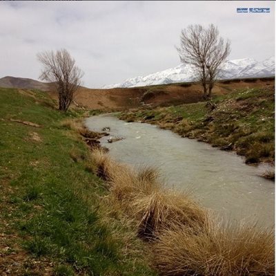 چشمه مایک