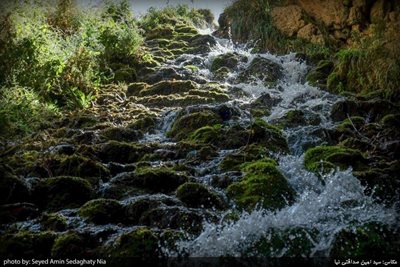 مارگون-آبشار-شهنیز-322120