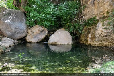 مارگون-آبشار-شهنیز-322118