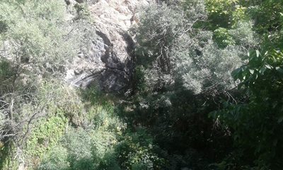مارگون-آبشار-شهنیز-322125
