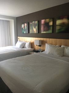 اتاوا-هتل-Delta-Hotels-by-Marriott-اتاوا-323092