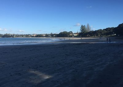 آوکلند-ساحل-تاکاپونا-آوکلند-Takapuna-Beach-324969