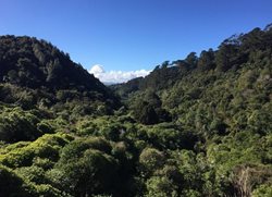 منطقه حفاظت شده زلاندیا ولینگتون ZEALANDIA Sanctuary