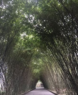 پارک Wangjianglou