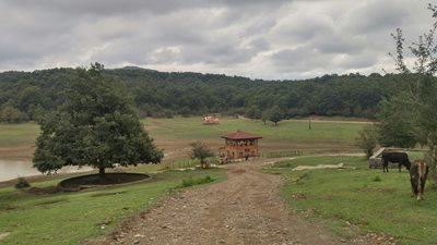 رشت-روستای-سقالکسار-326257