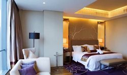 هتل رجیز The St Regis Tianjin Hotel