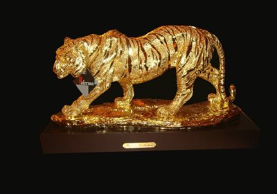بندرانزلی-گالری-سیندرلا-326934
