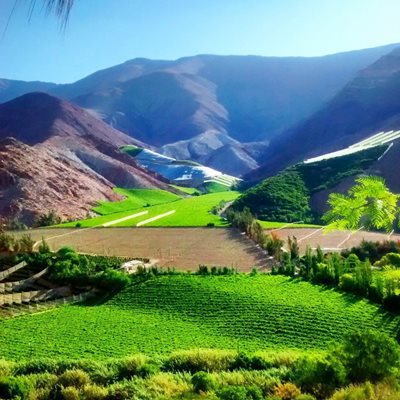 لاسرنا-دره-الکوی-شیلی-Valle-del-Elqui-327059