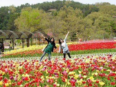 دایجونگ-باغ-وحش-ا-ورد-Daejeon-O-World-328441