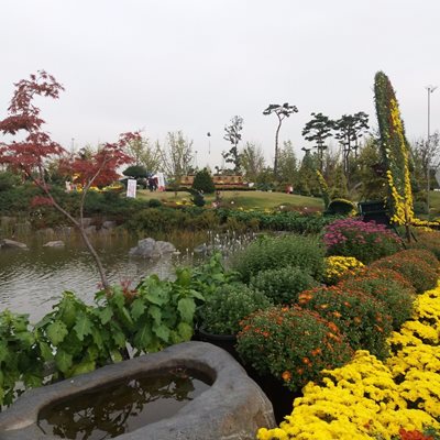 دایجونگ-پارک-یوریم-Yurim-Park-328445