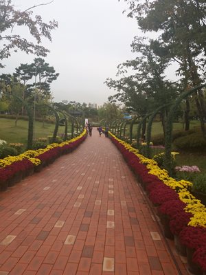 دایجونگ-پارک-یوریم-Yurim-Park-328449