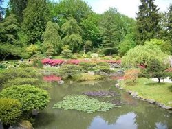 باغ ژاپنی سیاتل Seattle Japanese Garden