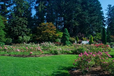 سیاتل-باغ-وحش-وودلند-Woodland-Park-and-Rose-Garden-328550