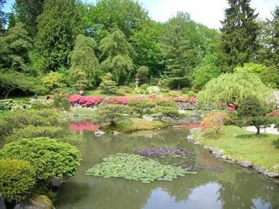 سیاتل-باغ-ژاپنی-سیاتل-Seattle-Japanese-Garden-328560