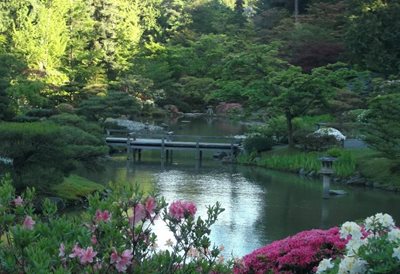 باغ ژاپنی سیاتل Seattle Japanese Garden