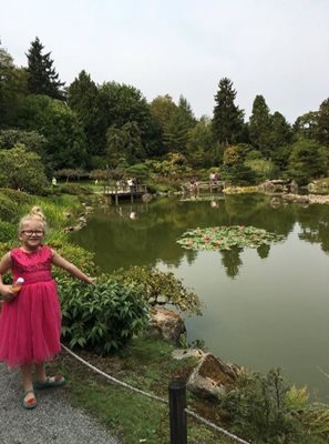 سیاتل-باغ-ژاپنی-سیاتل-Seattle-Japanese-Garden-328562