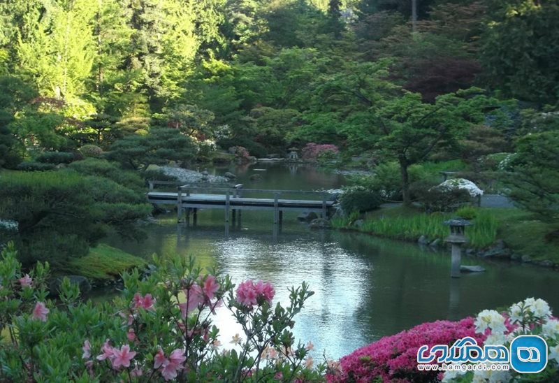 باغ ژاپنی سیاتل Seattle Japanese Garden