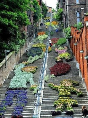 لیژ-پله-های-تاریخی-مونت-بورن-لیژ-Montagne-de-Bueren-328922