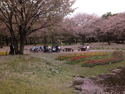 پارک بپو Beppu Park