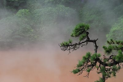 بپو-پارک-چیویویکی-Chinoike-Jigoku-329149