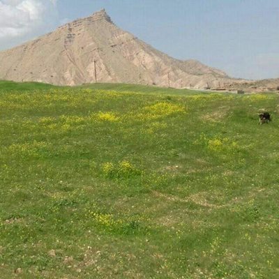 ایذه-روستای-کارتا-329348