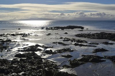 گالوی-ساحل-Salthill-330771