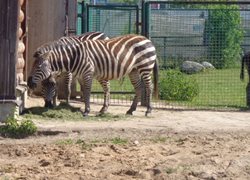 باغ وحش یاروسلاول Yaroslavl Zoo