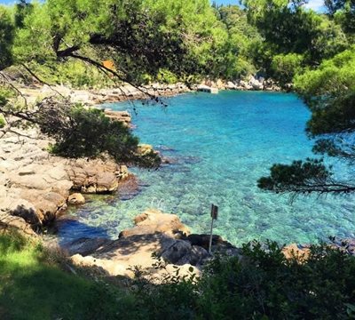 دوبرونیک-جزیره-لوکروم-Island-of-Lokrum-331963