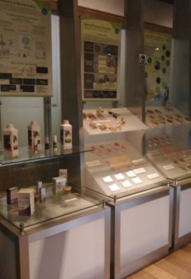 پتالینگ-جایا-باغ-گیاه-شناسی-و-تحقیقات-جنگلی-مالزی-Forest-Research-Institute-of-Malaysia-332314