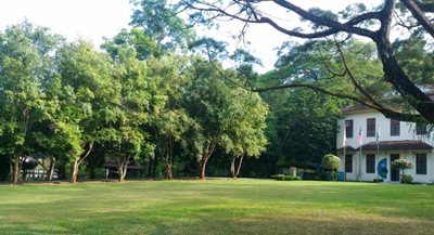 پتالینگ-جایا-باغ-گیاه-شناسی-و-تحقیقات-جنگلی-مالزی-Forest-Research-Institute-of-Malaysia-332320