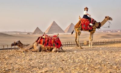 جیزه-هتل-مینا-هاوس-Mena-House-Hotel-giza-332658