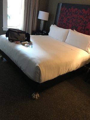 هیوستون-هتل-زازا-هیوستون-Hotel-ZaZa-Houston-Museum-District-332677