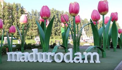 هاگ-پارک-مینیاتور-مادورادام-Madurodam-333254