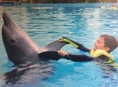 پارک دلفین ها Dolphinaris Riviera Maya Park