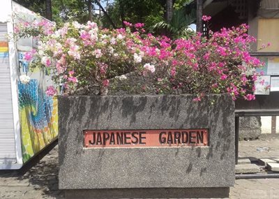 مانیل-باغ-ژاپنی-Japanese-Garden-336217