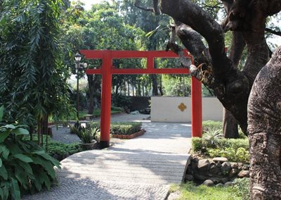 مانیل-باغ-ژاپنی-Japanese-Garden-336222