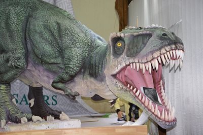 موزه مرکزی دایناسورها Central Museum of Mongolian Dinosaurs