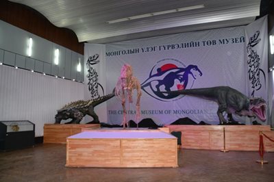 اولان-باتور-موزه-مرکزی-دایناسورها-Central-Museum-of-Mongolian-Dinosaurs-336331