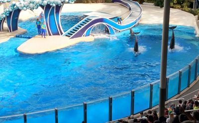 اورلاندو-تم-پارک-سی-ورلد-اورلاندو-SeaWorld-Orlando-337237