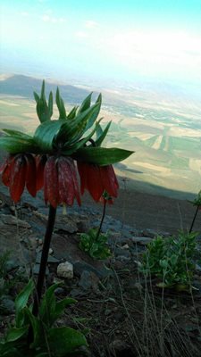 خمین-روستای-ورچه-337701