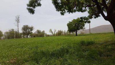 خمین-روستای-ورچه-337699
