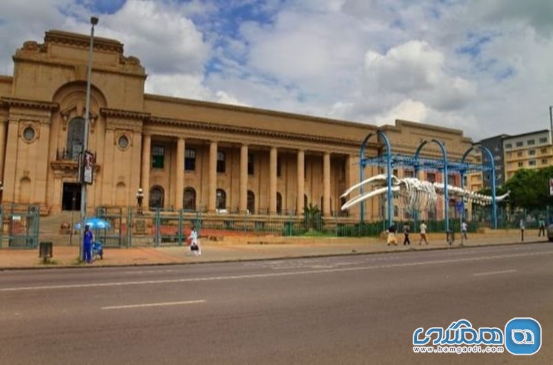 موزه تاریخ طبیعی Museum of Natural History