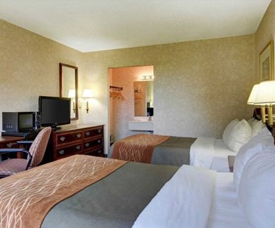 هتل وینا Quality Inn Tysons Corner