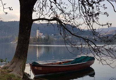بلد-هتل-کامپاس-Kompas-Hotel-Bled-340362