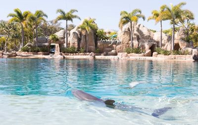 گلد-کست-هتل-سی-ورلد-ریوزرت-Sea-World-Resort-340610