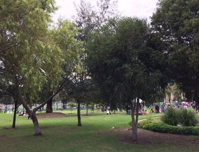 کیتو-پارک-کارولینای-شمالی-Parque-La-Carolina-341533