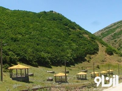خلخال-جنگل-اندبیل-341570